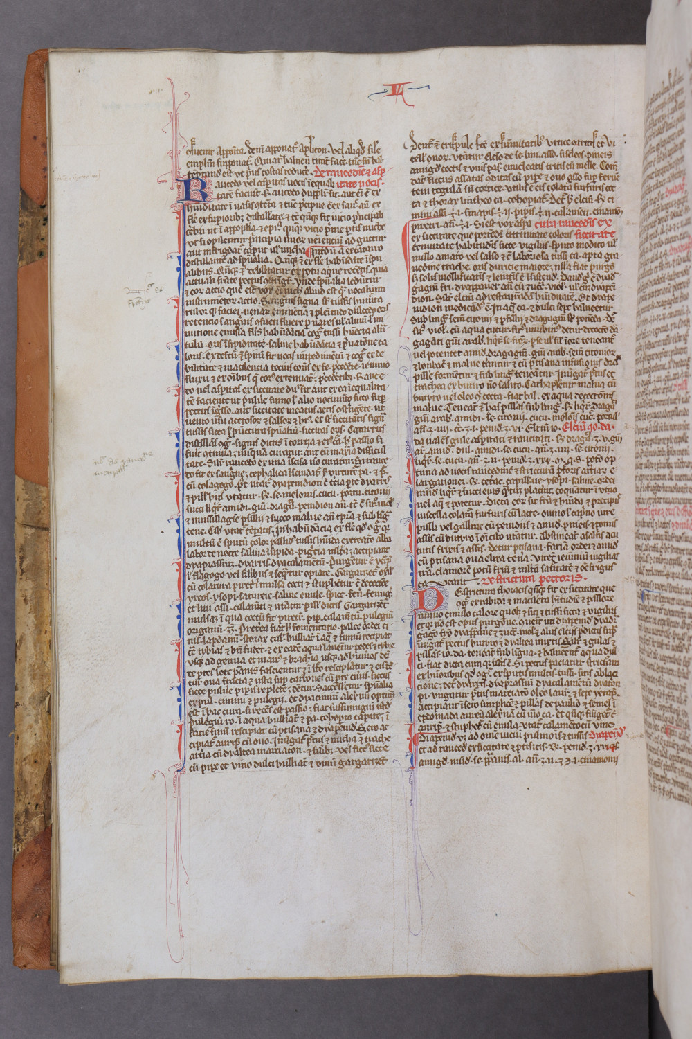Folio 85 verso